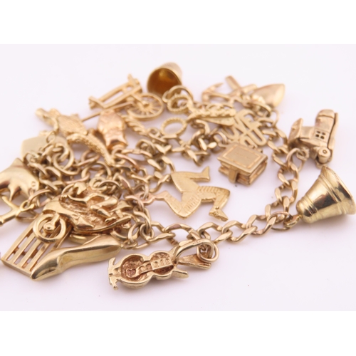 198 - A 9 carat gold charm bracelet, fitted with a padlock clasp and suspending seventeen assorted gold ch... 