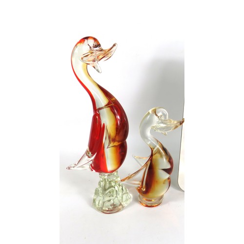 97 - Two Murano glass ducks in red and amber tones - tallest 32cm