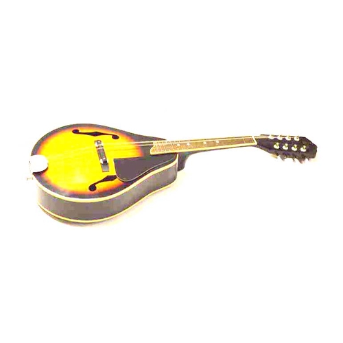 123 - A Very Nice Shaped Mandolin