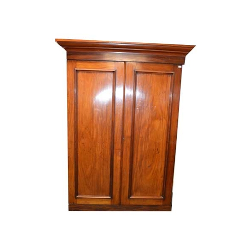 100 - A Good Mahogany Two Door Wardrobe