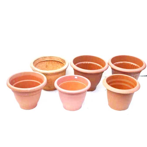 Lot 7         