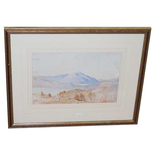Lot 200       
