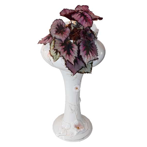 53 - A Jardinere on Stand and its Plant