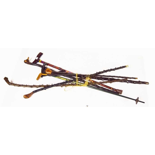 110 - A Very Good Lot of Blackthorn and Other Walking Sticks