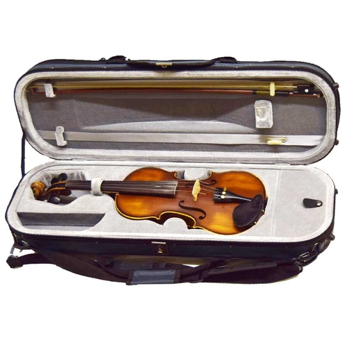 37 - A Violin in Case