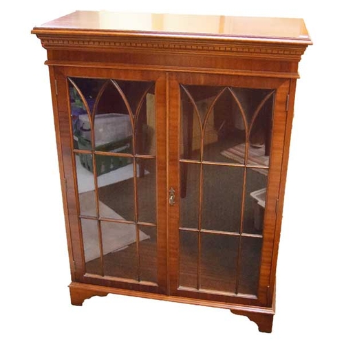 95 - An Astragal Glazed Two Door Display Cabinet / Bookcase