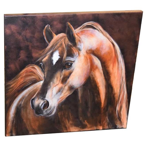 356 - An Oil Painting 'Arab Horse Head' - Diane Hennchen