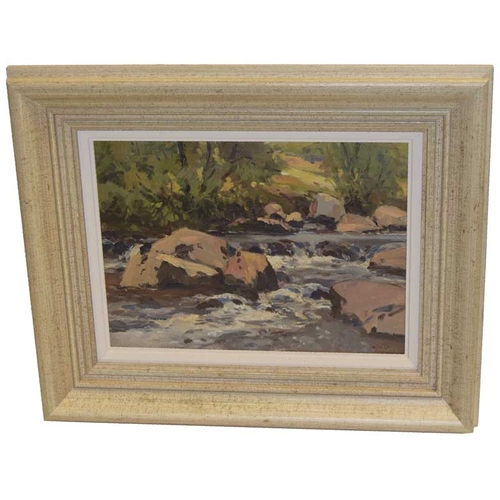 An Oil Painting 'On The Dunn River' - Maurice Wilks