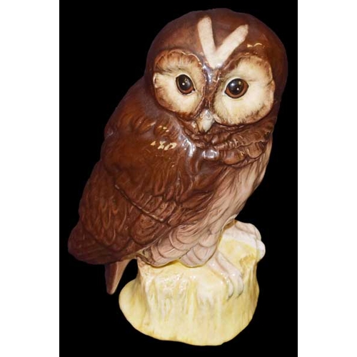 357 - A Royal Doulton 'Owl'