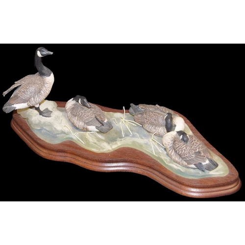 38 - A Border Fine Arts Figurine 'Canada Geese'