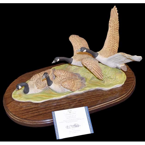 39 - A Border Fine Arts Figurine 'Geese'