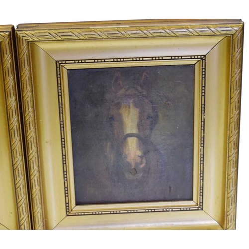 130 - An Early Oil Painting of a Horses Head