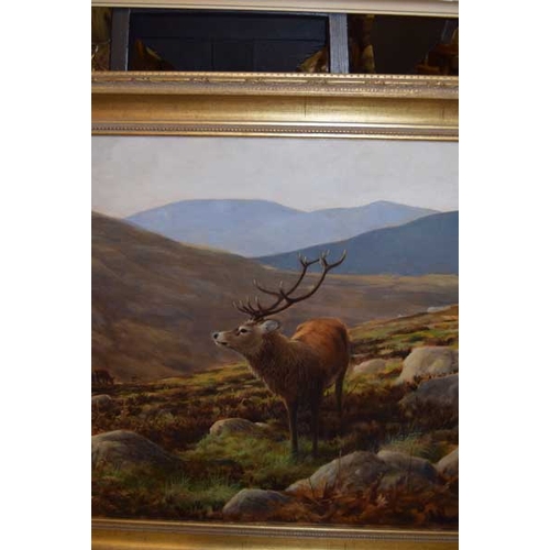 200 - A Very Fine Large Oil Painting 'Highland Stag' -  Julian Friers