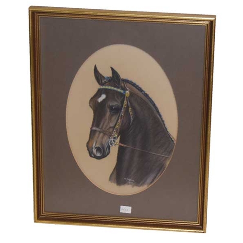 372 - A Pastel Drawing 'Horse Head Study' - W J Watson