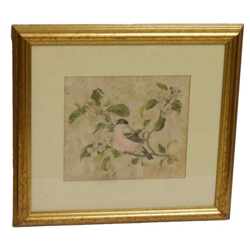 392 - A Watercolour 'Bullfinch; - Elizabeth Ewan