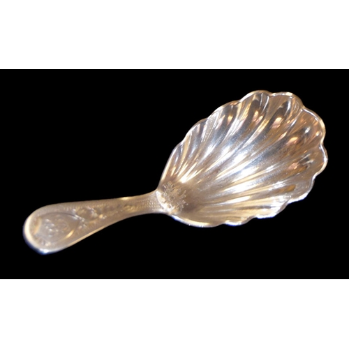 446 - A Nice Silver Shell Bowl, Caddy Spoon, London 1906 Frederick Highland