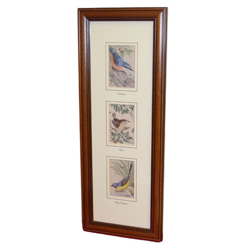 211 - A Nice Set of Three Framed 'Bird' Pictures