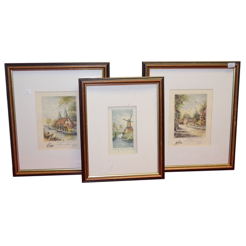 216 - A Nice Set of Three Framed Pictures