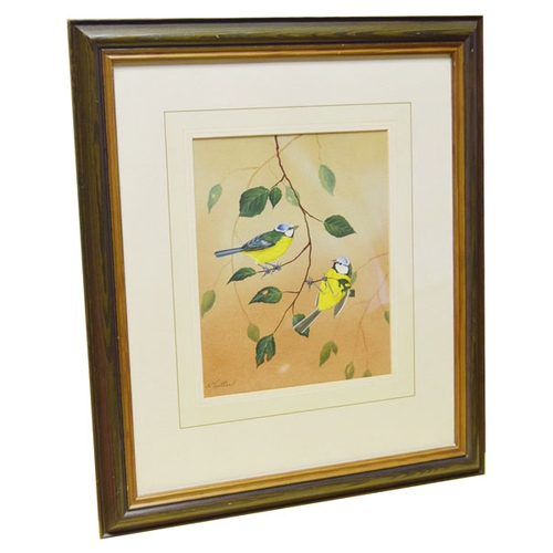 225 - A Very Nice Watercolour 'Birds' - R. Spotten