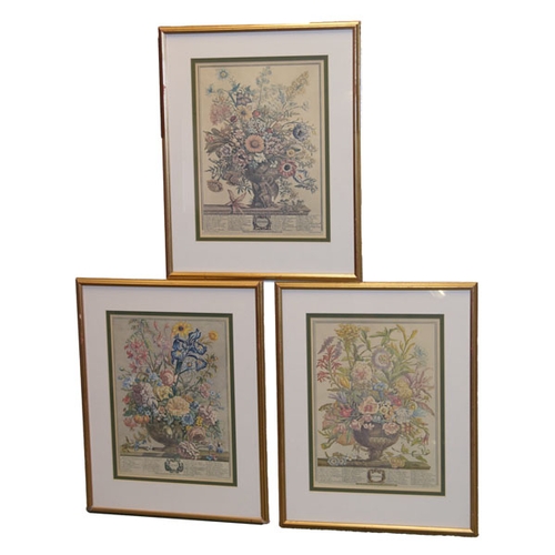 277 - A Nice Set of Three Botanical Pictures