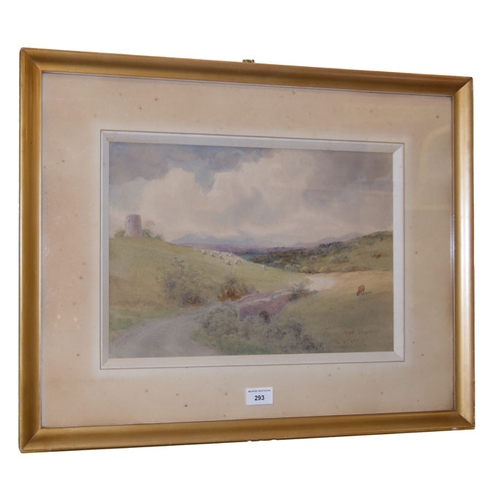 293 - A Watercolour 'East Down' - J.W. Carey