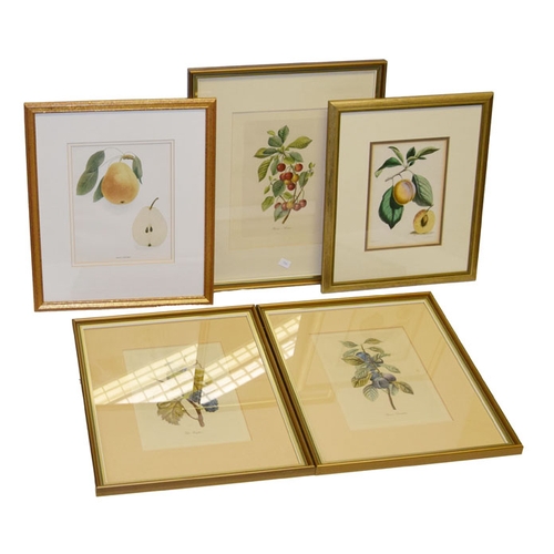 76 - A Lot of Five Nice Framed Botanical Prints