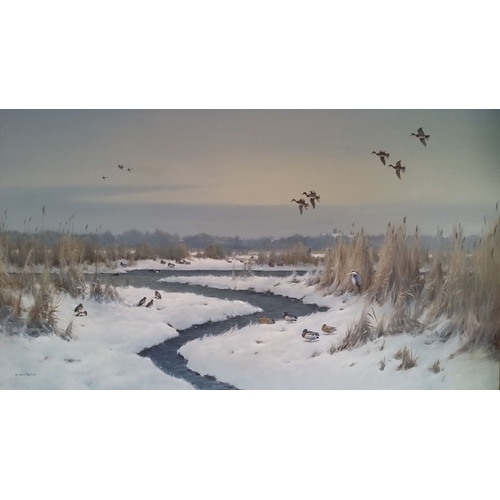 100 - A Gilt Framed Oil Painting 'Winter Wild Fowl Upton, Norfolk' - Colin Burns (34'' x 50'')