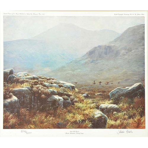 9 - A Limited Edition Gilt Framed Print 'Irish Red Grouse, Mourne Mountains' - Julian Friers