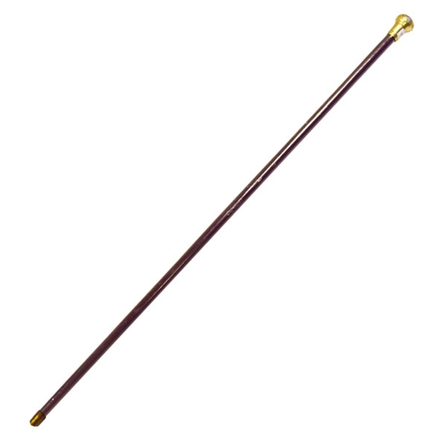 769 - A Silver Topped Walking Stick