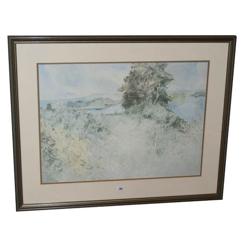 505 - A Large Limited Edition Framed Print 'Lower Lough Erne From Carrick Ria' - T P Flannagan