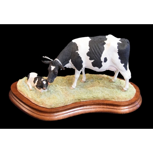 546 - A Border Fine Arts Figurine 'Holstein Friesian Cow and Calf'