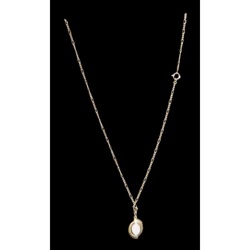 885 - A 9ct Gold Chain and Pendant