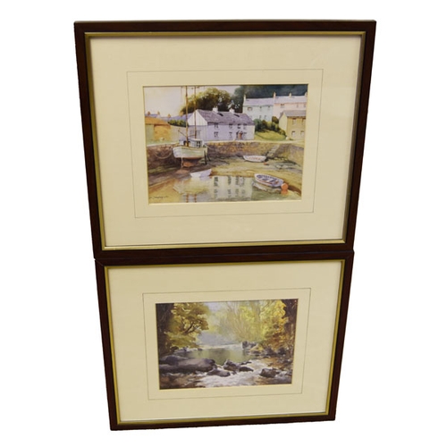 132 - A Nice Pair of Framed Pictures - Leo Donaghy