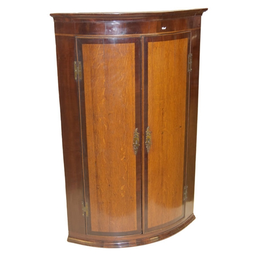 Lot 335       