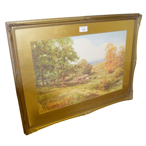 Lot 339       