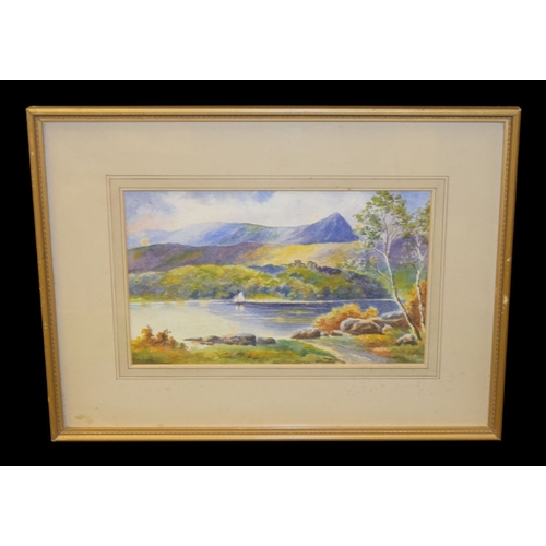 Lot 461       