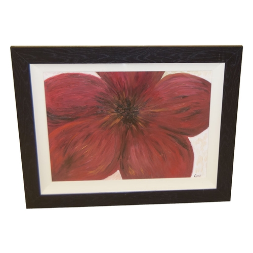 Lot 509       