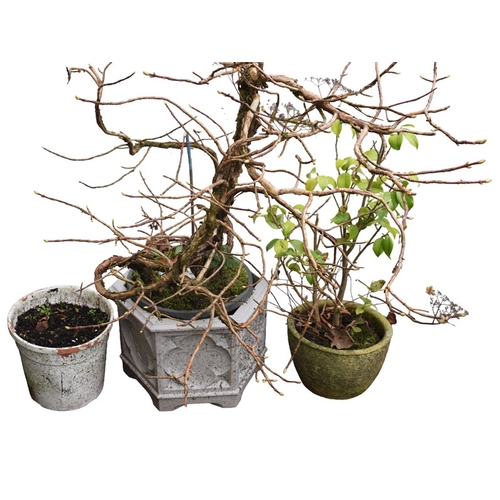 23 - A Hexagonal Planter and more