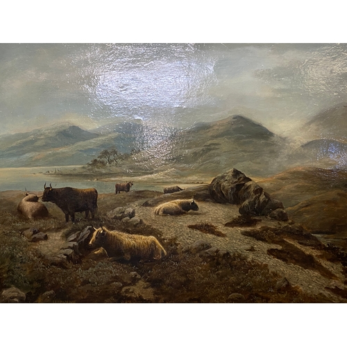 26 - Victorian Oil on Canvas of Cattle in Ornate Gilt Wood and Plaster Frame, signed 'Irvine' 57.5 x 69.5... 