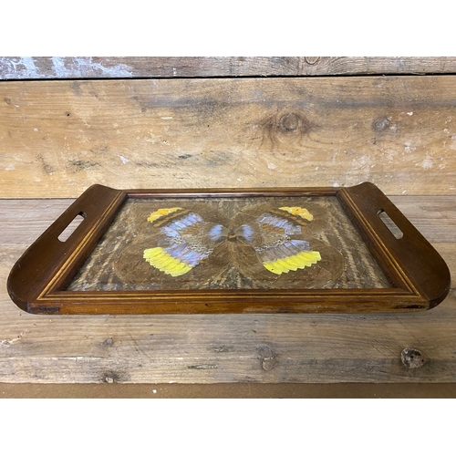 39 - Wooden Tray with Decorative Butterfly Wing Interior