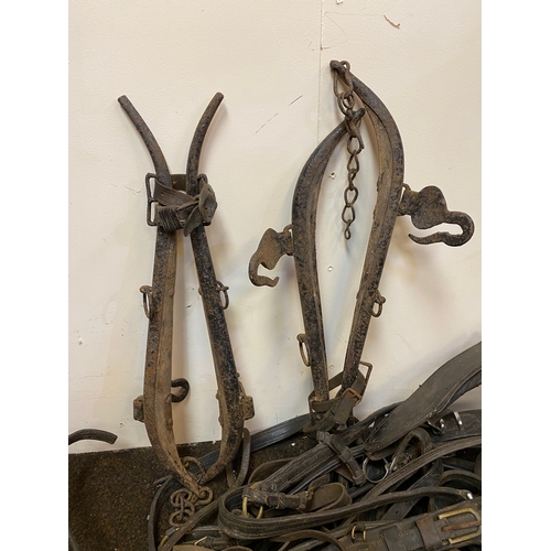 136 - Large Lot of Mixed Horse Tack