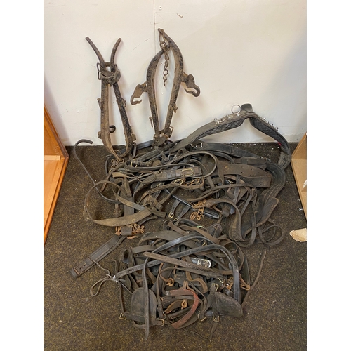 136 - Large Lot of Mixed Horse Tack