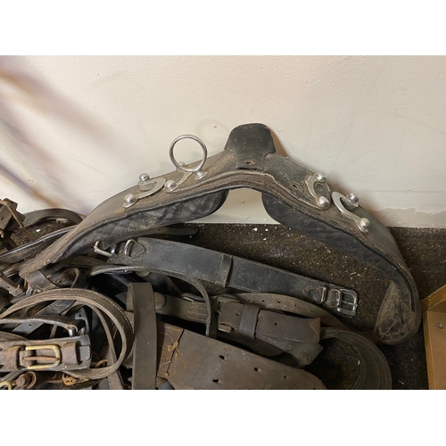 136 - Large Lot of Mixed Horse Tack