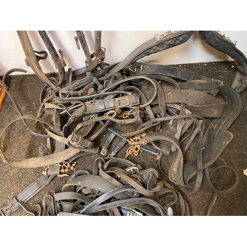 136 - Large Lot of Mixed Horse Tack