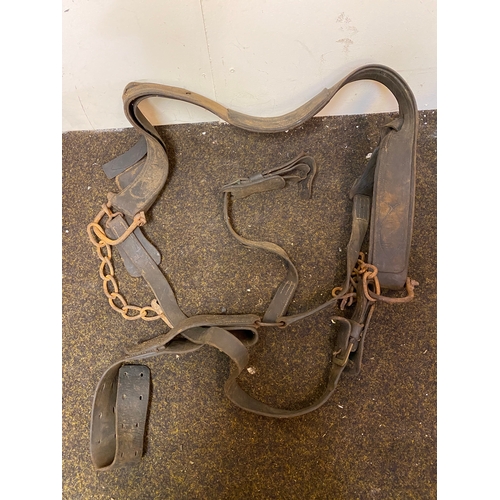 136 - Large Lot of Mixed Horse Tack