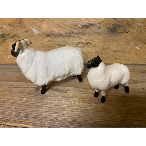 258 - Beswick Ram (AF) and Sheep Figurines