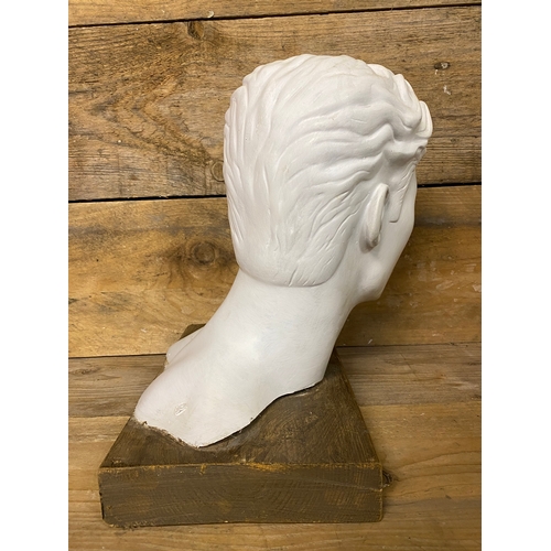 284 - Artistic Life Size Male Fiberglass Bust on Wooden Base