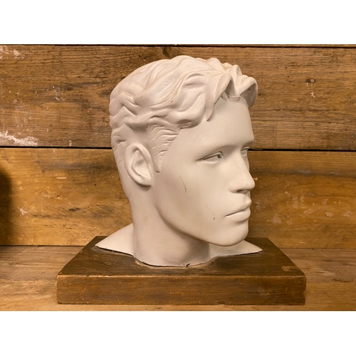 284 - Artistic Life Size Male Fiberglass Bust on Wooden Base