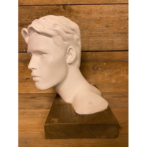 284 - Artistic Life Size Male Fiberglass Bust on Wooden Base