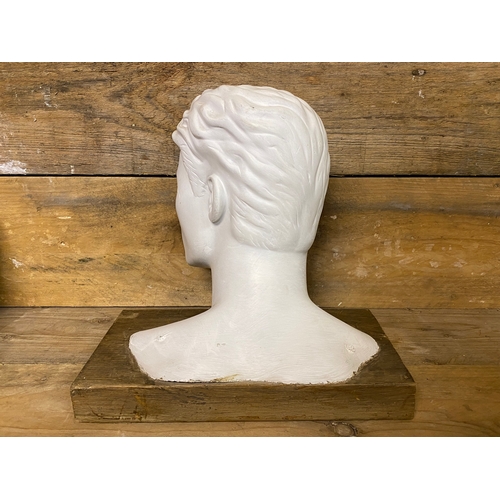 284 - Artistic Life Size Male Fiberglass Bust on Wooden Base